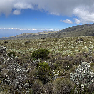 Mount Kenya